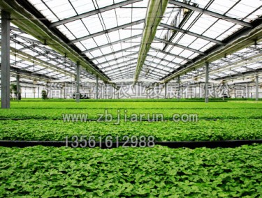 智能溫室建設(shè)